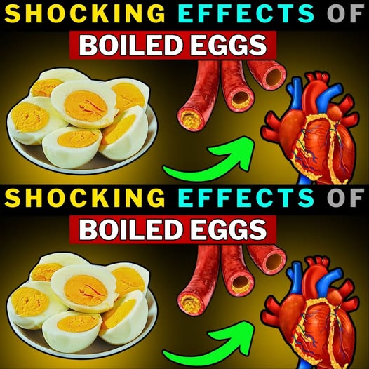 Eating Boiled Eggs Daily? Here’s What Happens to Your Body