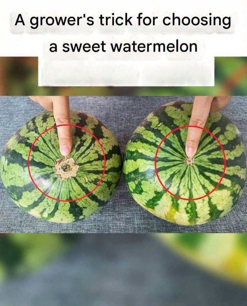 How to Pick a Sweet, Juicy Watermelon: Simple Clues to Check Before You Buy