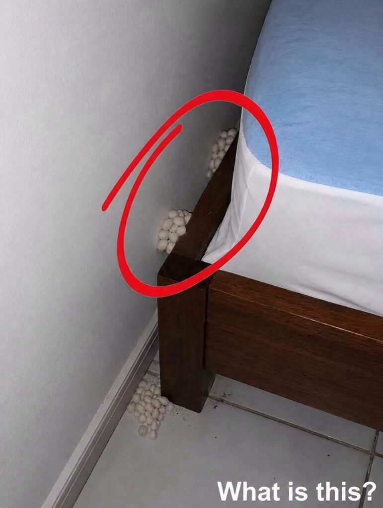 I Came Home After A Long Shift Only To Find A Terrifying Discovery On My Bedroom Floor