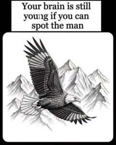 Can You Find the Hidden Figure in This Fascinating Eagle Illusion?