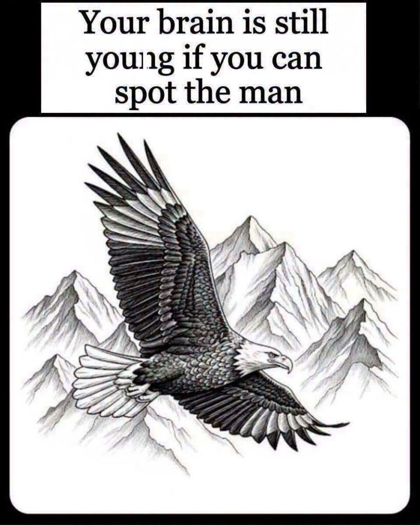 Can You Find the Hidden Figure in This Fascinating Eagle Illusion?