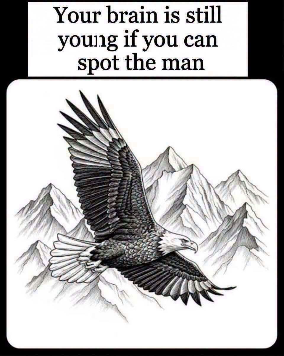 Can You Find the Hidden Figure in This Fascinating Eagle Illusion?