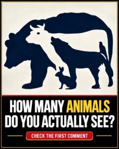 The Animals You See May Reveal How You Look at the World 👀🐾