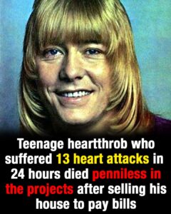From millionaire heartthrob to tragic end: The sad story of Brian Connolly