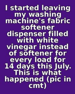 I started leaving my washing machine’s fabric softener dispenser filled with white vinegar instead of softener for every load for 14 days this July. This is what happened