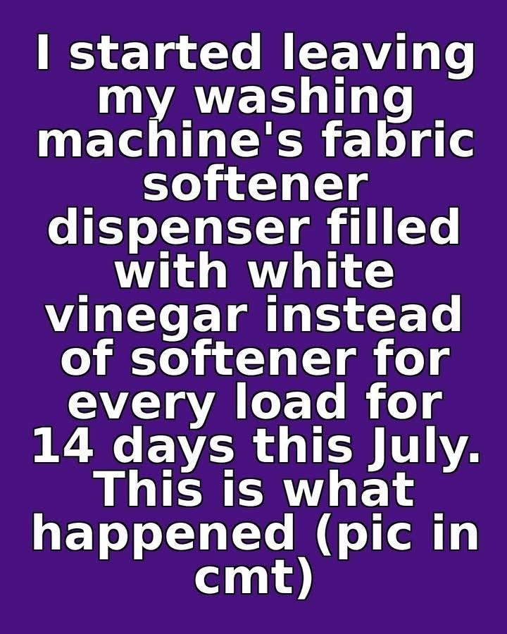I started leaving my washing machine’s fabric softener dispenser filled with white vinegar instead of softener for every load for 14 days this July. This is what happened