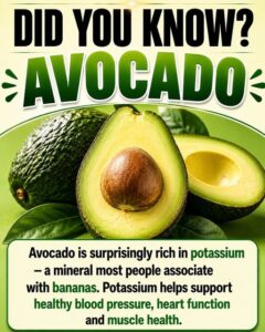 Scientifically Proven Health Benefits of Avocado and Avocado Seeds