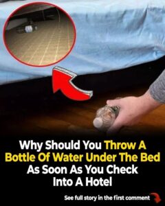 Flight Attendant Reveals Why You Should Put a Bottle of Water Under Your Hotel Bed