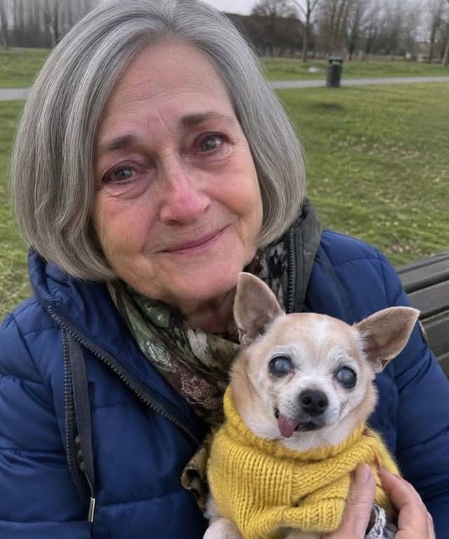 A Cafe Owner Kicked Me and My Old Chihuahua Out of His ‘Pet-Friendly’ Cafe Because I Only Ordered Coffee – Then One Stranger Walked in and Asked Him a Question That Made Him Go Pale