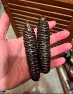 She Thought She Found Forgotten Christmas Ornaments in Her Grandmother’s Attic—Until She Picked One Up