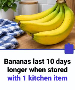 I Changed The Way I Store Bananas And Was Surprised By The Difference… See more