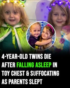 4-year-old twins die after falling asleep in toy chest – now mom has grave warning