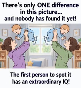 There’s only ONE difference in this picture… and nobody has found it yet!
