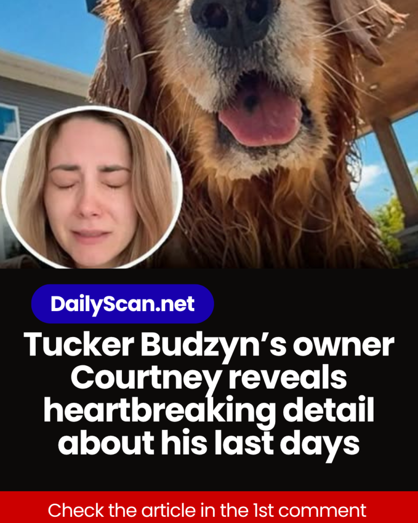 Tucker Budzyn’s owner Courtney reveals heartbreaking detail about his last days