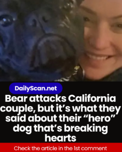 Bear attacks California couple, but it’s what they said about their “hero” dog that’s breaking hearts