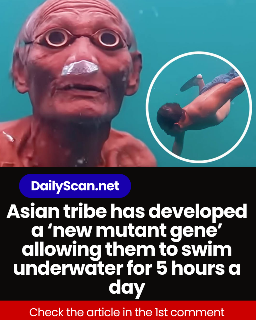 Asian tribe has developed a ‘new mutant gene’ allowing them to swim underwater for 5 hours a day
