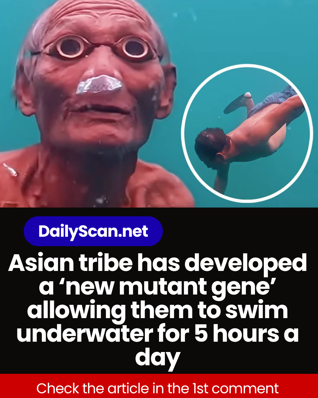 Asian tribe has developed a ‘new mutant gene’ allowing them to swim underwater for 5 hours a day