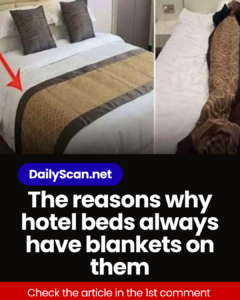 The reasons why hotel beds always have blankets on them