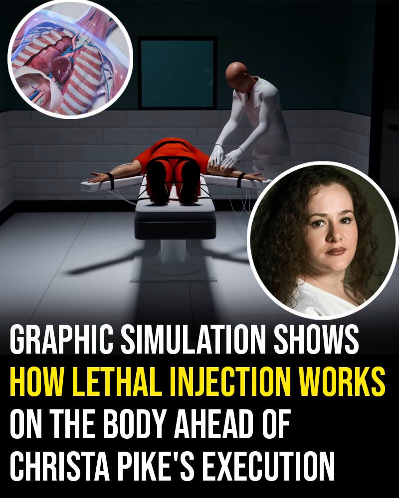Graphic simulation shows how lethal injection works on the body ahead of Christa Pike’s execution