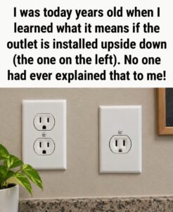 Why Some Wall Outlets Are Installed Upside Down: The Practical Reason Behind It
