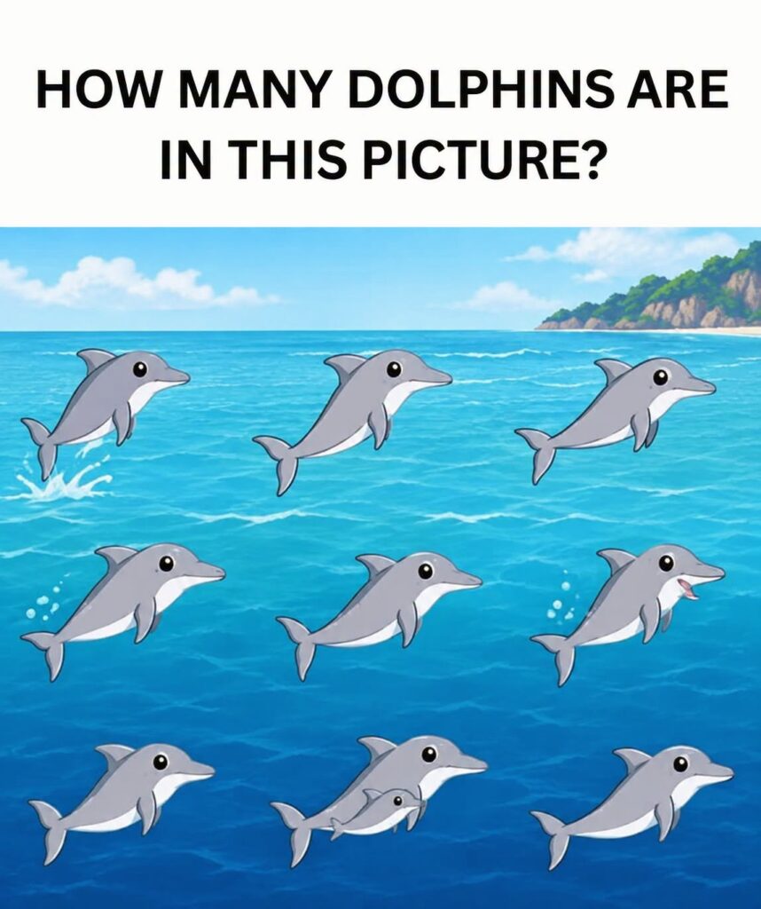 How many dolphins can you spot in the picture?