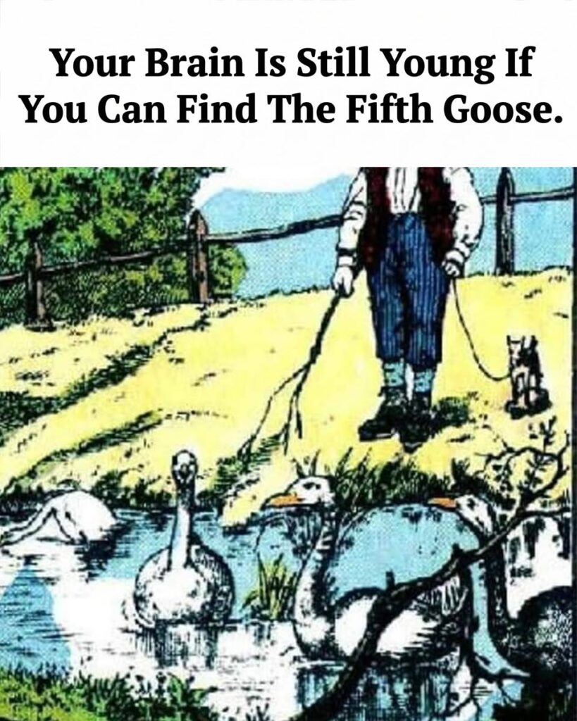 Find The Fifth Goose.