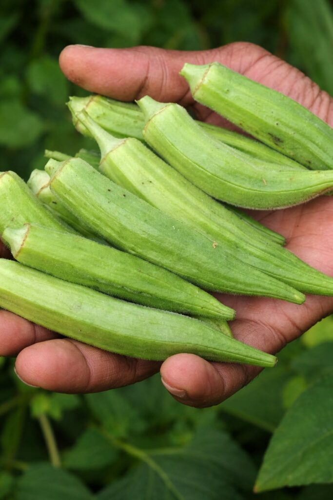 Proven Health Benefits of Okra That Are Based On Science (Including Nutrition Facts)