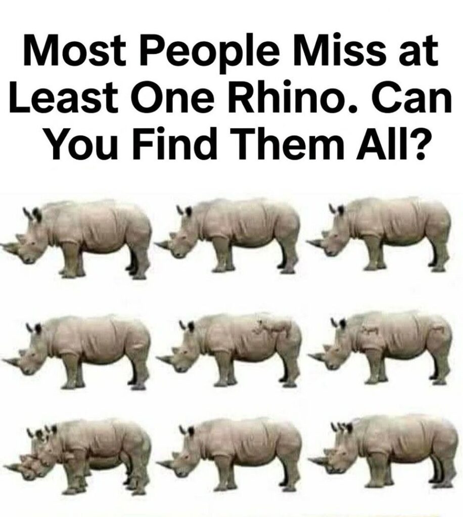 Most People Miss at Least One Rhino. Can You Find Them All?