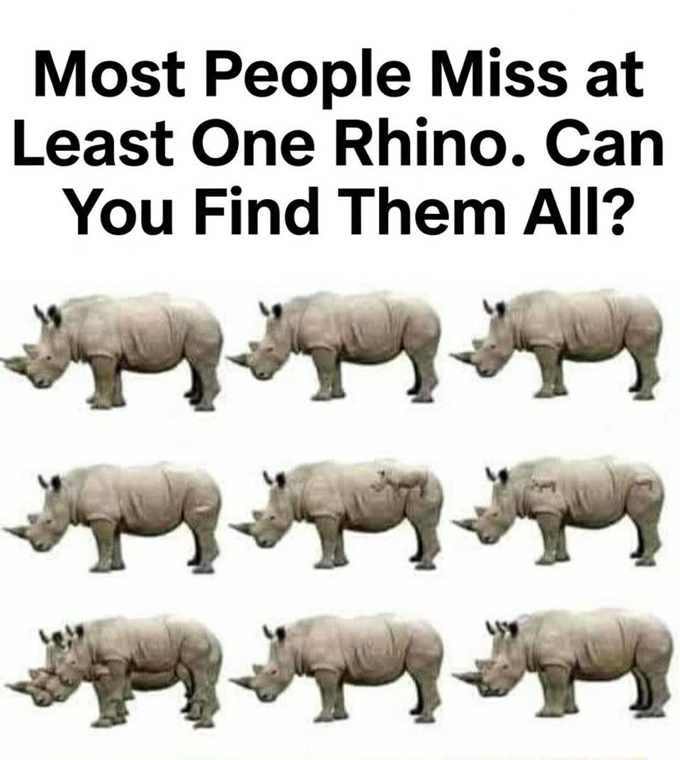 Most People Miss at Least One Rhino. Can You Find Them All?