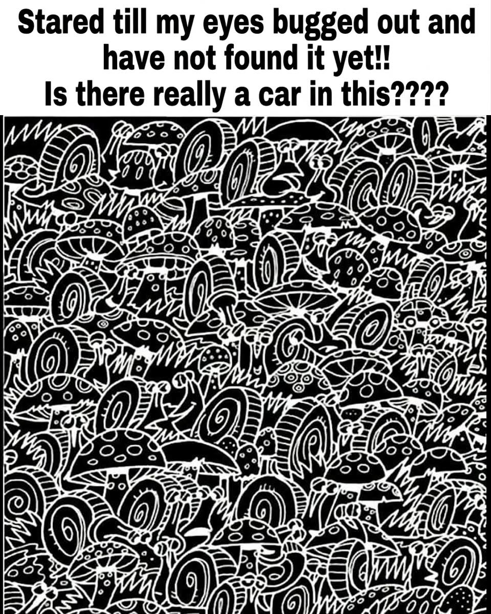 Is there really a car in this????