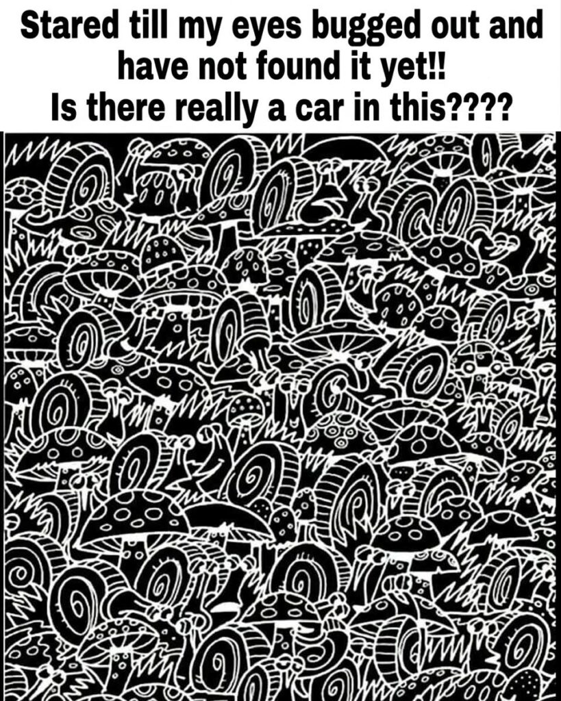 Is there really a car in this????