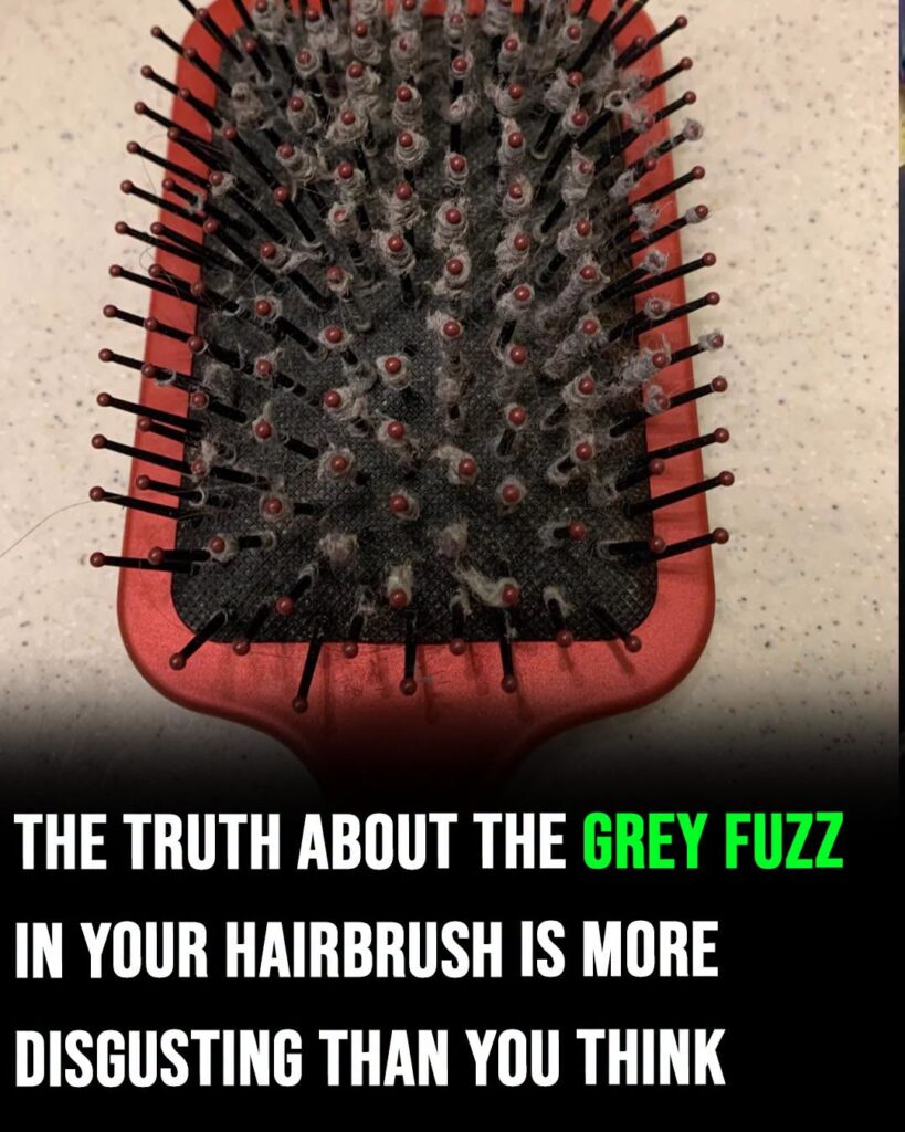 The truth about the grey fuzz in your hairbrush is more disgusting than you think