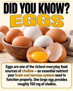 Proven Health Benefits of Eating Eggs Based on Evidence
