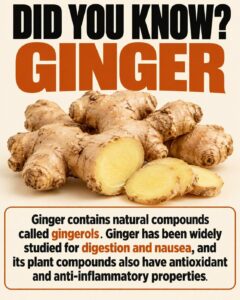 Proven Health Benefits of Ginger Root and Ginger Tea