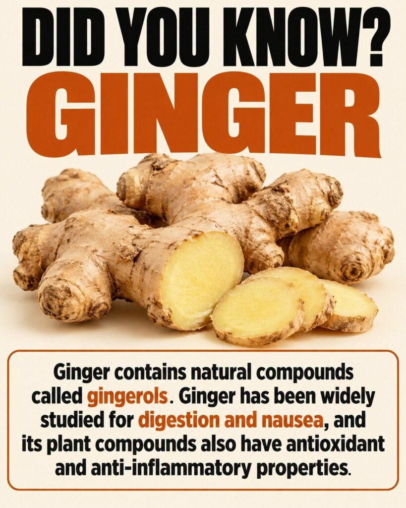 Proven Health Benefits of Ginger Root and Ginger Tea