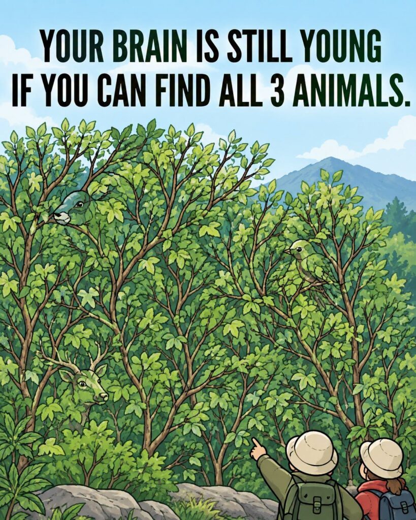 Can You Find All 3 Animals ?