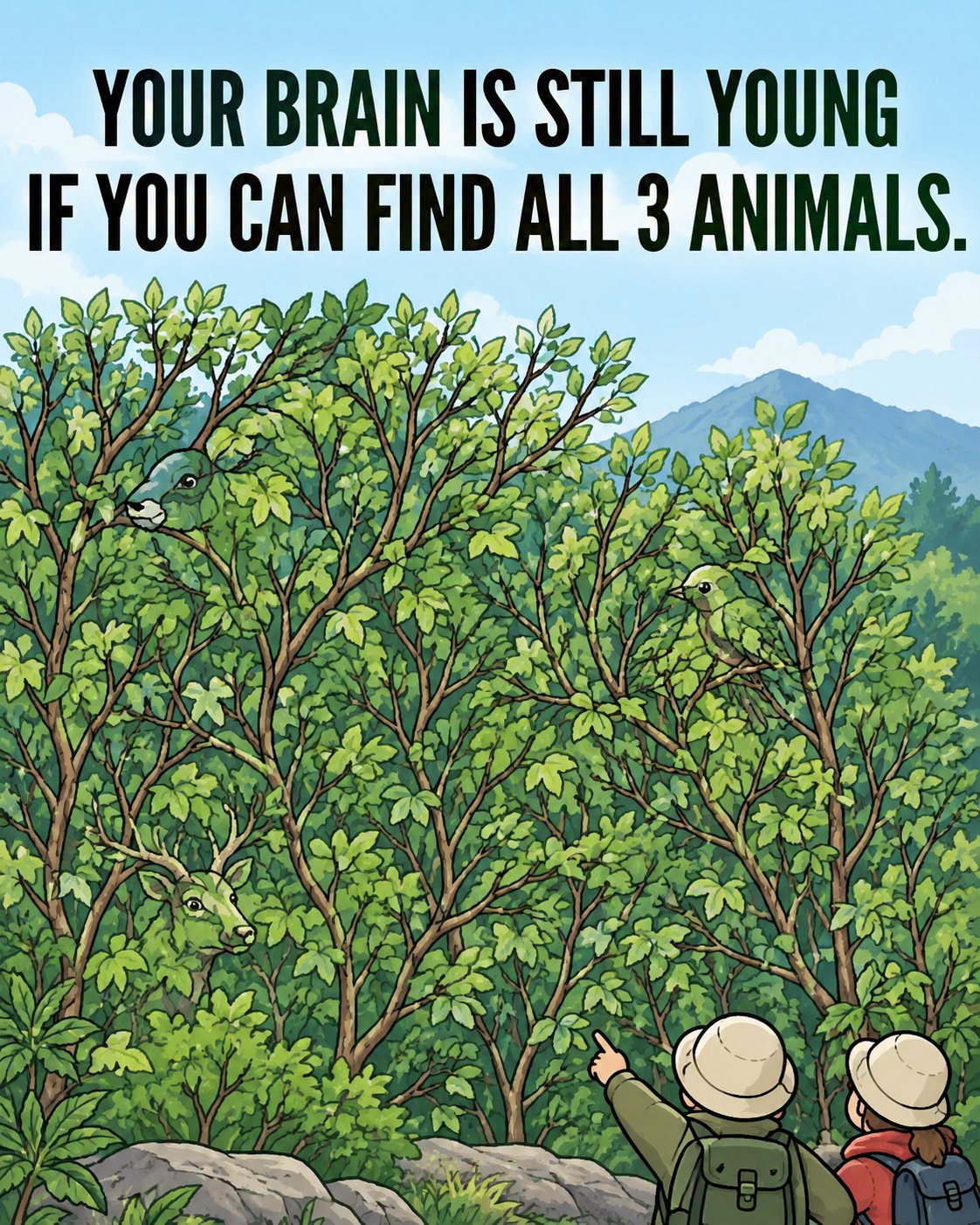 Can You Find All 3 Animals ?