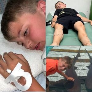 Young boy attacked by three sharks in Bahamas after tourists threw food in water