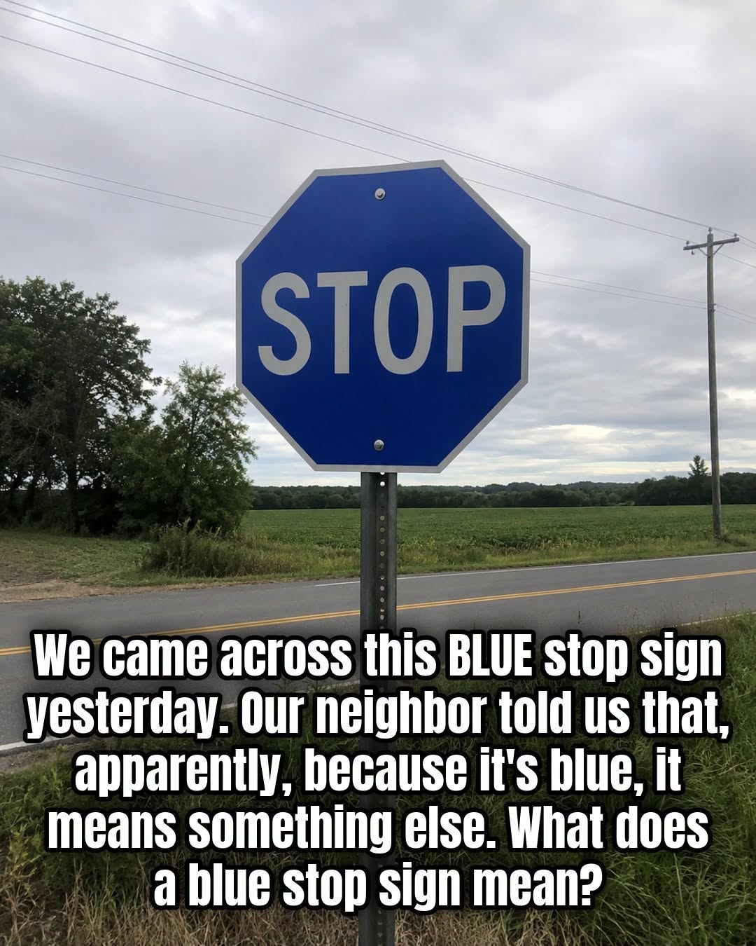 The Meaning Behind a Blue Stop Sign