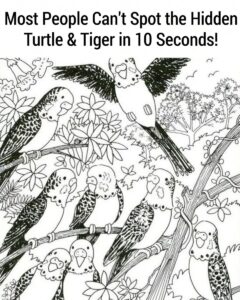 Most People Can’t Spot the Hidden Turtle & Tiger in 10 Seconds!
