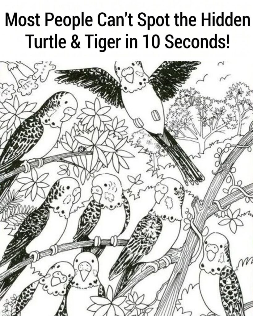 Most People Can’t Spot the Hidden Turtle & Tiger in 10 Seconds!