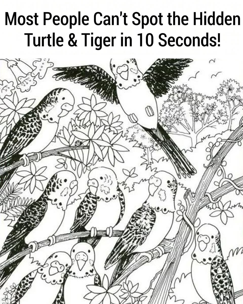 Most People Can’t Spot the Hidden Turtle & Tiger in 10 Seconds!