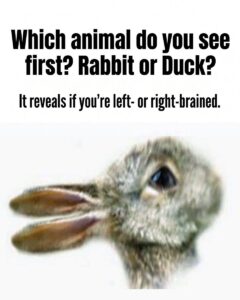 Which animal do you see first? Rabbit or Duck?