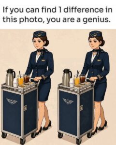 The Flight Attendant: Find 1 Difference