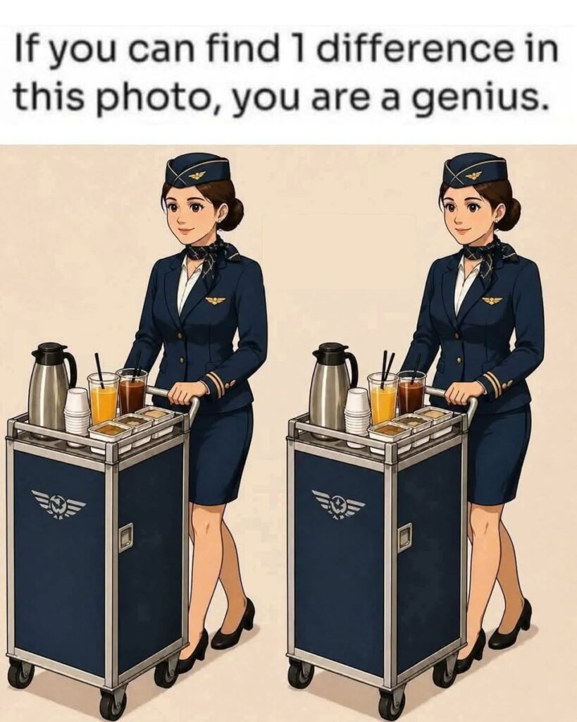 The Flight Attendant: Find 1 Difference