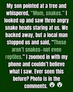I Thought I Was Looking At A Tree Full Of Snakes, Then I Discovered The Truth..