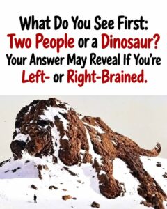 What Do You See First: Two People or a Dinosaur?