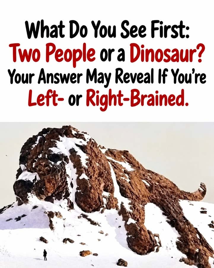 What Do You See First: Two People or a Dinosaur?