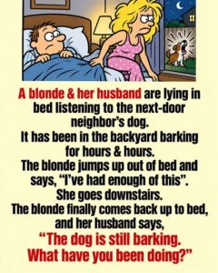 Dealing with a Barking Dog