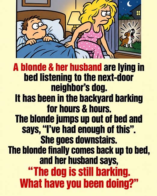 Dealing with a Barking Dog